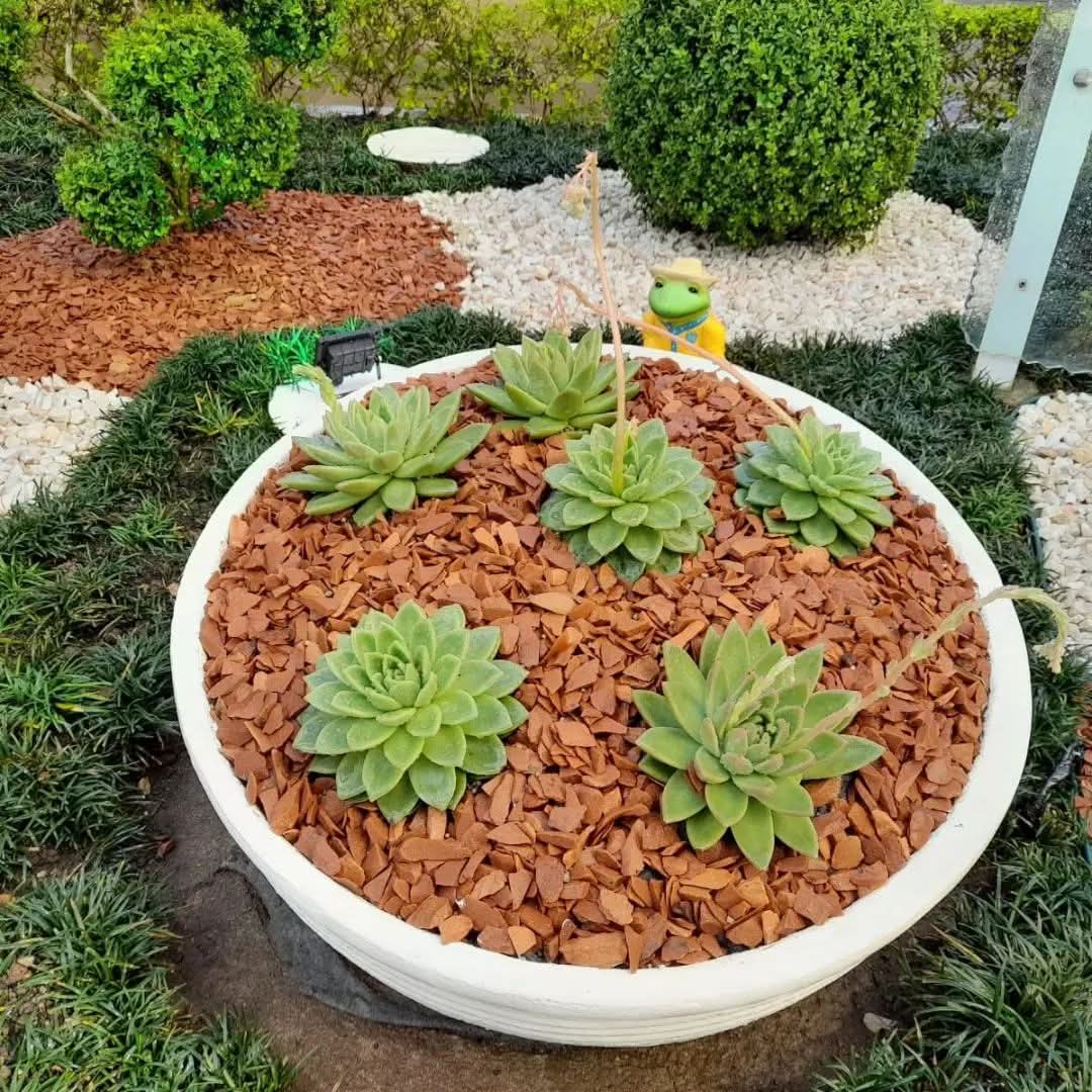 RD Jardinagem e Paisagismo LTDA — Jardinagem em São Paulo/SP