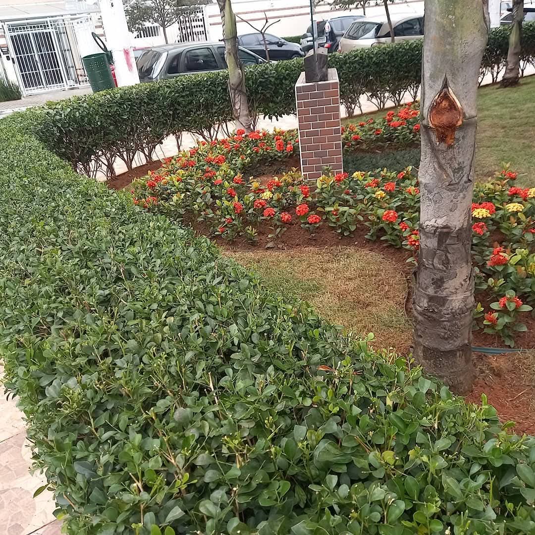 RD Jardinagem e Paisagismo LTDA — Jardinagem em São Paulo/SP